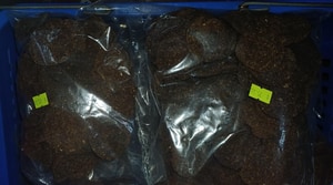 New Ostrich Treats for Your Furry Friends!