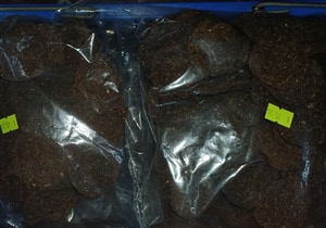 New Ostrich Treats for Your Furry Friends!