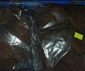 New Ostrich Treats for Your Furry Friends!