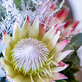 Fresh Flowers - Whale Waters Self Catering Lodge - Xplorio™ Gansbaai