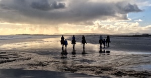 A Horse Riding Experience to Remember