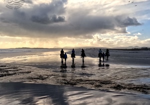 A Horse Riding Experience to Remember