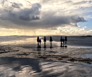 A Horse Riding Experience to Remember