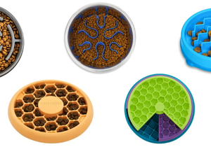 Slow Feeder Dog Bowls