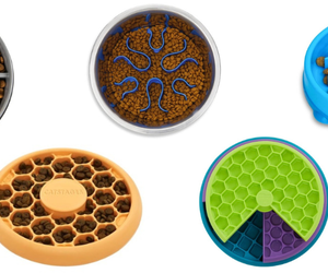 Slow Feeder Dog Bowls