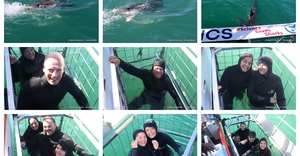 Daily Blog: 18 August 2026 | Shark Cage Diving in South Africa