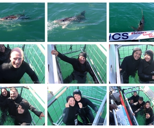 Daily Blog: 18 August 2026 | Shark Cage Diving in South Africa