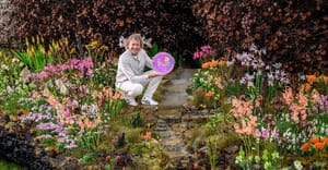 Chelsea Flowers in Stanford: Life After Fire Comes Home