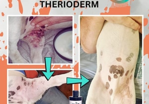 Therioderm Natural Pet Care Products