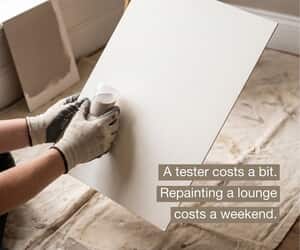 Before You Paint the Whole Lounge… Test It First