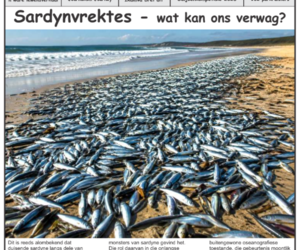 Gans-Berg Nuus / News - 21 August 2026