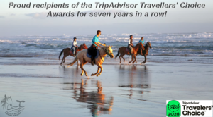 A Bucket-List Experience