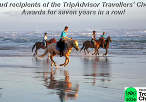 A Bucket-List Experience