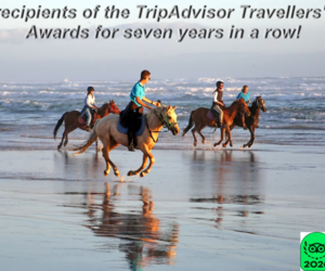 A Bucket-List Experience