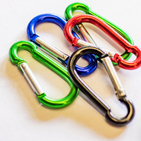 Carabiners - Ideal BOLTNNUT and Fasteners - Xplorio™ Hermanus