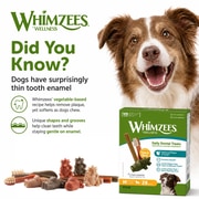 Did You Know? Dogs Have Surprisingly Thin Tooth Enamel