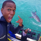 Take a selfie with a shark! - Sharklady Adventures - Xplorio™ Gansbaai Take a selfie with a shark! - Sharklady Adventures - Xplorio™ Gansbaai