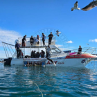 Sharklady Adventures Boat - Sharklady Adventures - Xplorio™ Gansbaai