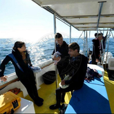 More space, less crowds - Sharklady Adventures - Xplorio™ Gansbaai