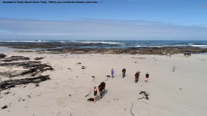 An Unforgettable Horse Riding Experience in Gansbaai