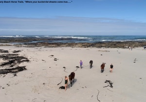 An Unforgettable Horse Riding Experience in Gansbaai