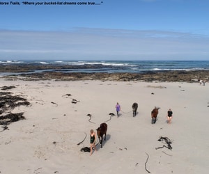 An Unforgettable Horse Riding Experience in Gansbaai