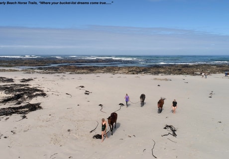 An Unforgettable Horse Riding Experience in Gansbaai