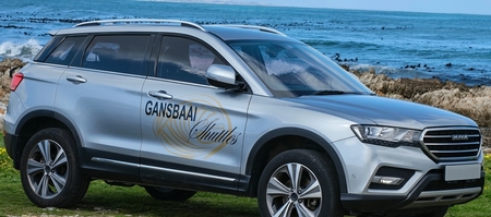 haval_1788187317