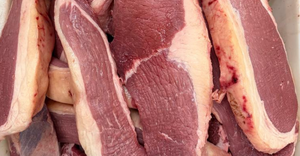 Premium Biltong and Droëwors at Jan Biltong