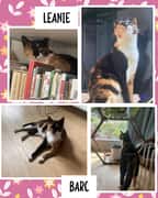 From Gansbaai to Zurich: Leanie’s Journey Home
