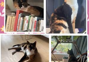 From Gansbaai to Zurich: Leanie’s Journey Home