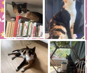 From Gansbaai to Zurich: Leanie’s Journey Home