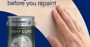 Spring Exterior Wall Painting Tips