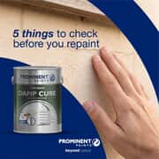 Spring Exterior Wall Painting Tips