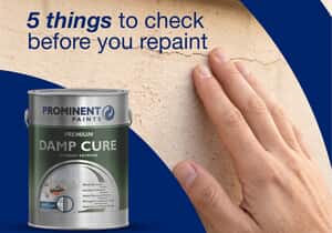 Spring Exterior Wall Painting Tips