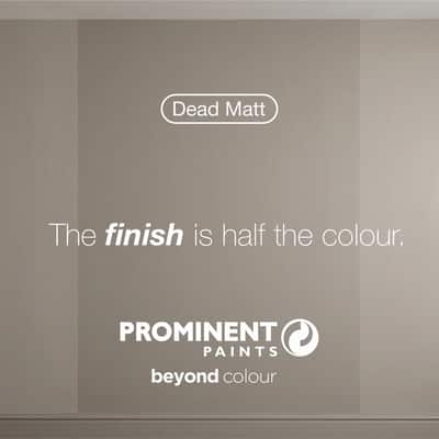 Why Paint Finish Matters as Much as Colour