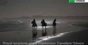Exclusive Beach Horse Riding