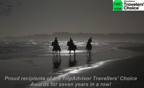 Exclusive Beach Horse Riding
