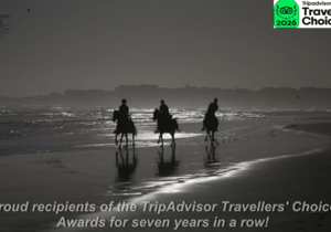 Exclusive Beach Horse Riding