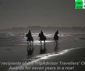 Exclusive Beach Horse Riding