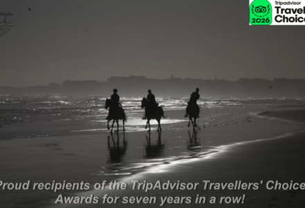Exclusive Beach Horse Riding