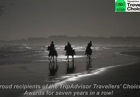 Exclusive Beach Horse Riding