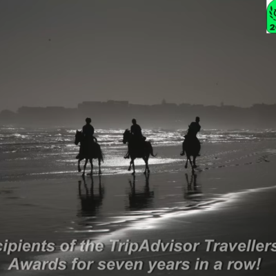 Exclusive Beach Horse Riding