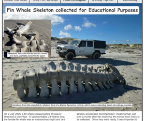 Gans-Berg Nuus / News | 4 September 2026
