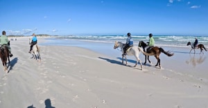 Marine Dynamics Volunteers Go Beach Riding