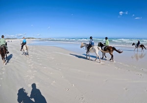 Marine Dynamics Volunteers Go Beach Riding