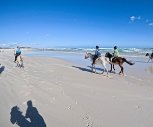 Marine Dynamics Volunteers Go Beach Riding