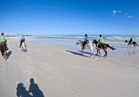 Marine Dynamics Volunteers Go Beach Riding