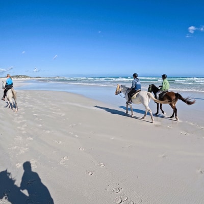 Marine Dynamics Volunteers Go Beach Riding
