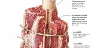 Tied Meat Shanks for Slow Cooking